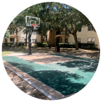 bw-basketball bw-basketball